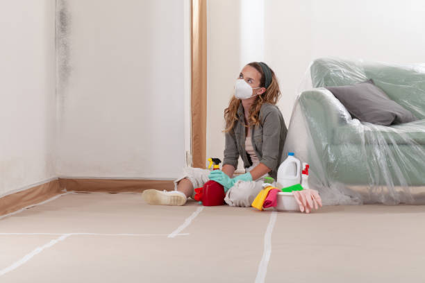 Reliable Mold Remediation contractor in Saint Leonard, MD by WQB Mold Removal